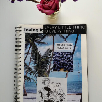 IKEA Catalogue was used for this along with The New Yorker. picture of a collage made from magazine clippings showing the ocean and blueberries