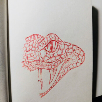 Red ballpoint pen. picture of a snake head, only half shown, with an eye, fang, and tongue